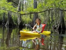 New Orleans 101: Spring Field Trips
