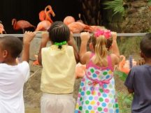3 Tips for Traveling with Kids