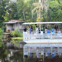 Jean Lafitte Swamp Tour