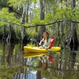New Orleans 101: Spring Field Trips