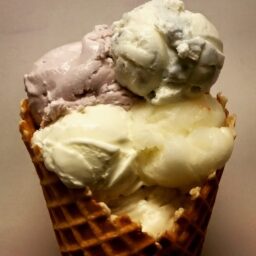 3 Best Ice Cream Shops in New Orleans for Kids