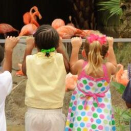 3 Tips for Traveling with Kids