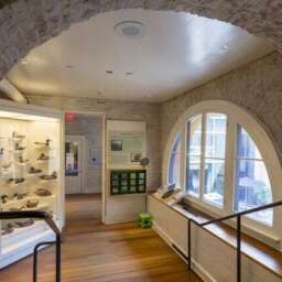 Introduce Your Kids to New Orleans Cultcha at Museum Month